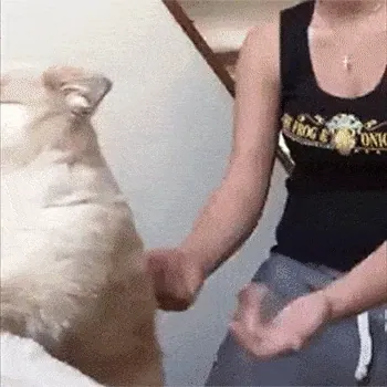 Woman in a black tank top high-fiving a fluffy cat's paw